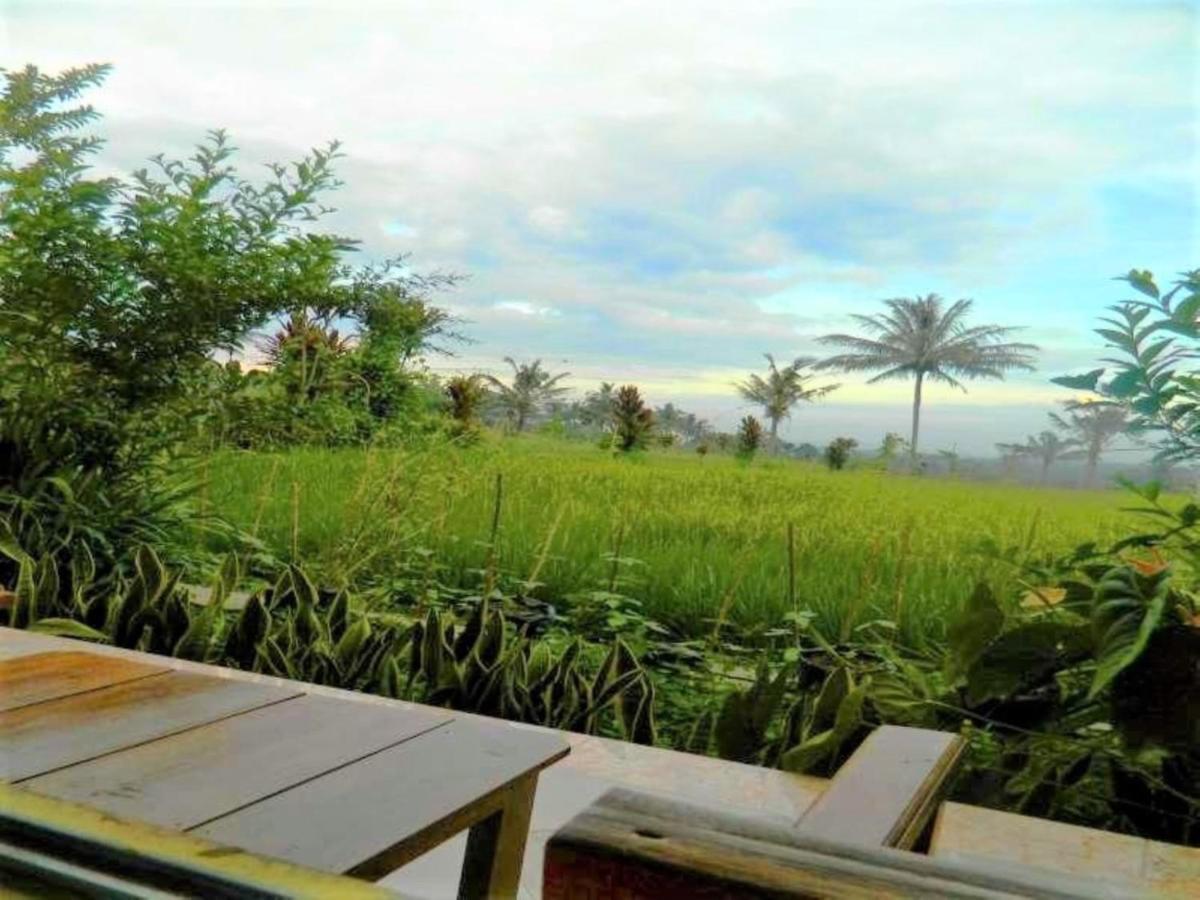 Fida Ijen Crater Guesthouse Licin Zewnętrze zdjęcie