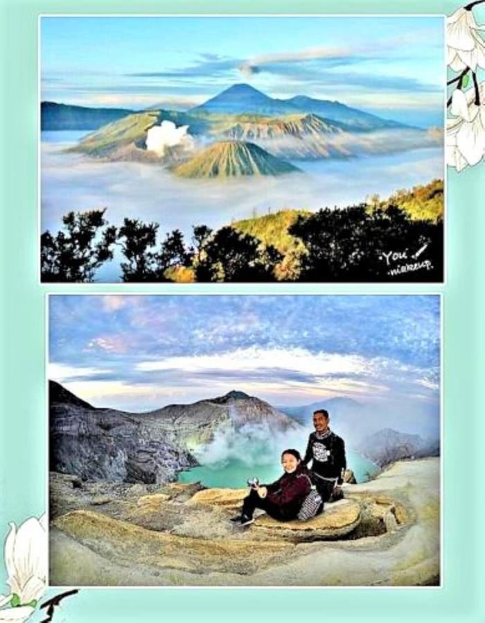 Fida Ijen Crater Guesthouse Licin Zewnętrze zdjęcie