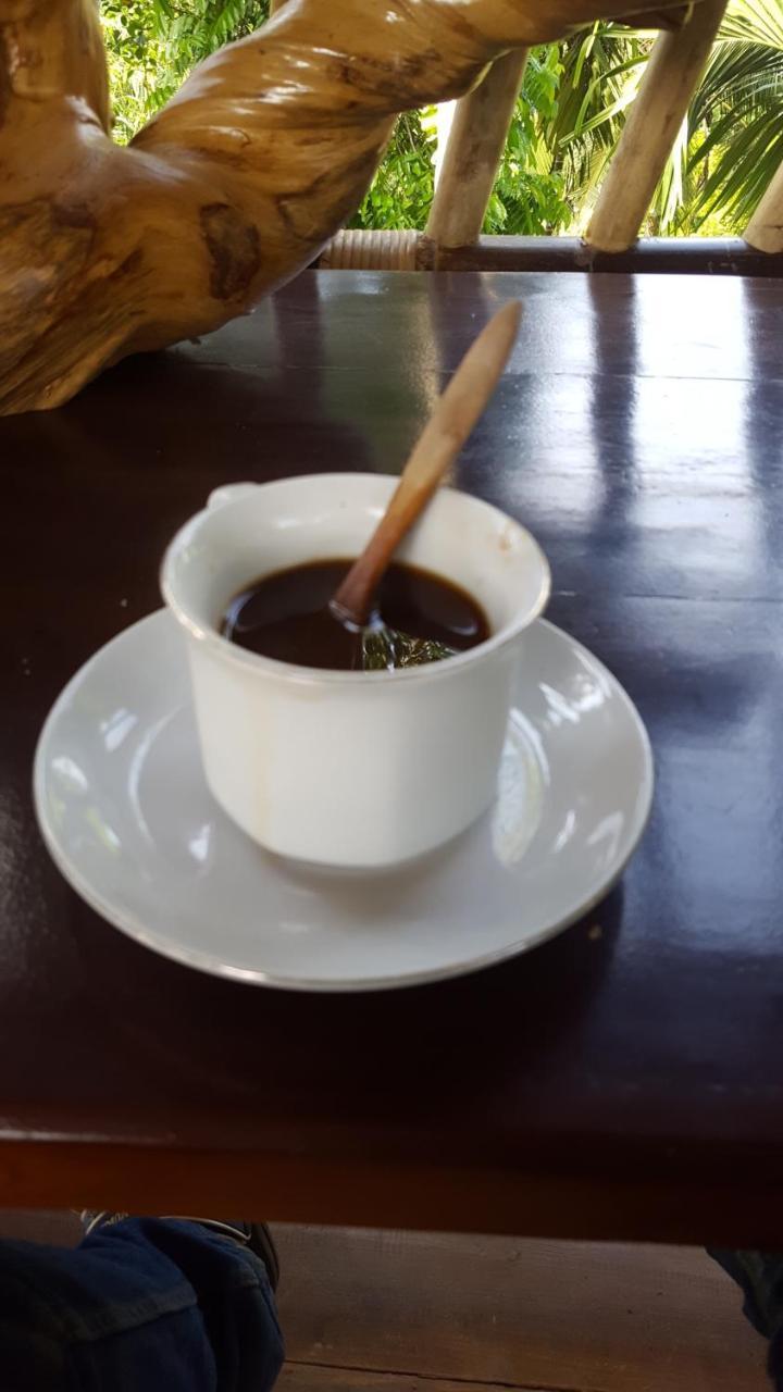 Fida Ijen Crater Guesthouse Licin Zewnętrze zdjęcie